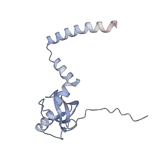 3461_5mc6_AM_v1-3
Cryo-EM structure of a native ribosome-Ski2-Ski3-Ski8 complex from S. cerevisiae
