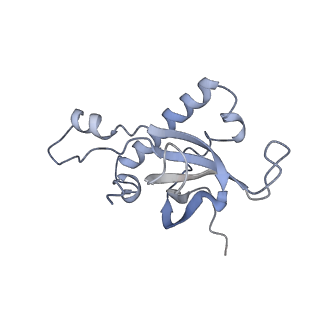 3461_5mc6_AN_v1-3
Cryo-EM structure of a native ribosome-Ski2-Ski3-Ski8 complex from S. cerevisiae