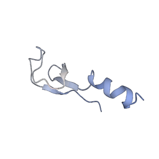 3461_5mc6_AO_v1-3
Cryo-EM structure of a native ribosome-Ski2-Ski3-Ski8 complex from S. cerevisiae
