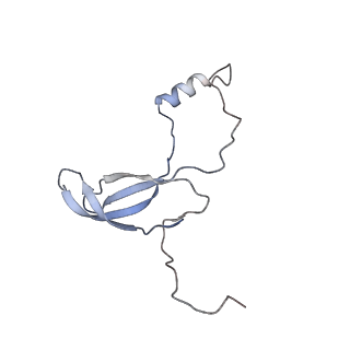3461_5mc6_AP_v1-3
Cryo-EM structure of a native ribosome-Ski2-Ski3-Ski8 complex from S. cerevisiae