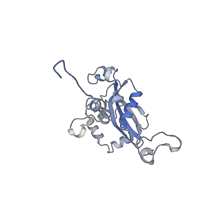 3461_5mc6_AQ_v1-3
Cryo-EM structure of a native ribosome-Ski2-Ski3-Ski8 complex from S. cerevisiae