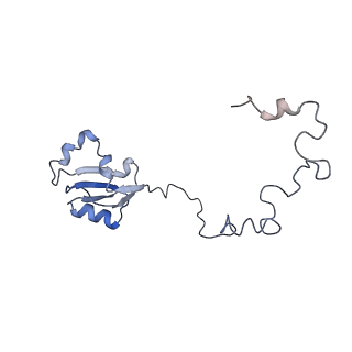 3461_5mc6_AR_v1-3
Cryo-EM structure of a native ribosome-Ski2-Ski3-Ski8 complex from S. cerevisiae