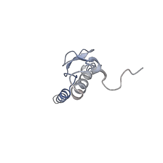 3461_5mc6_AT_v1-3
Cryo-EM structure of a native ribosome-Ski2-Ski3-Ski8 complex from S. cerevisiae