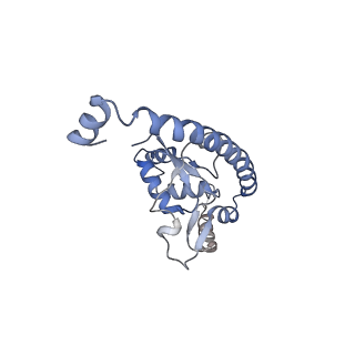 3461_5mc6_AU_v1-3
Cryo-EM structure of a native ribosome-Ski2-Ski3-Ski8 complex from S. cerevisiae