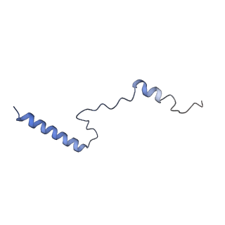 3461_5mc6_AV_v1-3
Cryo-EM structure of a native ribosome-Ski2-Ski3-Ski8 complex from S. cerevisiae