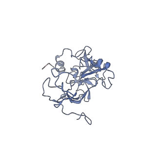 3461_5mc6_AW_v1-3
Cryo-EM structure of a native ribosome-Ski2-Ski3-Ski8 complex from S. cerevisiae
