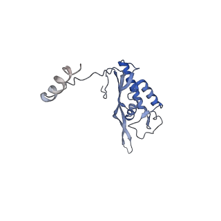 3461_5mc6_AX_v1-3
Cryo-EM structure of a native ribosome-Ski2-Ski3-Ski8 complex from S. cerevisiae