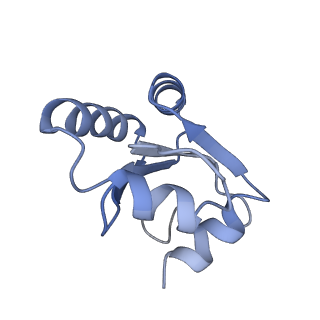 3461_5mc6_AY_v1-3
Cryo-EM structure of a native ribosome-Ski2-Ski3-Ski8 complex from S. cerevisiae