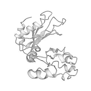 3461_5mc6_AZ_v1-3
Cryo-EM structure of a native ribosome-Ski2-Ski3-Ski8 complex from S. cerevisiae