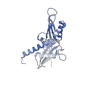 3461_5mc6_A_v1-3
Cryo-EM structure of a native ribosome-Ski2-Ski3-Ski8 complex from S. cerevisiae