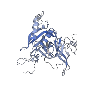 3461_5mc6_BA_v1-3
Cryo-EM structure of a native ribosome-Ski2-Ski3-Ski8 complex from S. cerevisiae