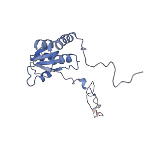 3461_5mc6_BB_v1-3
Cryo-EM structure of a native ribosome-Ski2-Ski3-Ski8 complex from S. cerevisiae