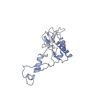 3461_5mc6_BD_v1-3
Cryo-EM structure of a native ribosome-Ski2-Ski3-Ski8 complex from S. cerevisiae