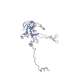 3461_5mc6_BE_v1-3
Cryo-EM structure of a native ribosome-Ski2-Ski3-Ski8 complex from S. cerevisiae
