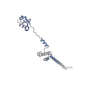 3461_5mc6_BF_v1-3
Cryo-EM structure of a native ribosome-Ski2-Ski3-Ski8 complex from S. cerevisiae