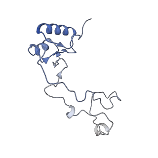 3461_5mc6_BG_v1-3
Cryo-EM structure of a native ribosome-Ski2-Ski3-Ski8 complex from S. cerevisiae