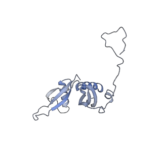 3461_5mc6_BH_v1-3
Cryo-EM structure of a native ribosome-Ski2-Ski3-Ski8 complex from S. cerevisiae