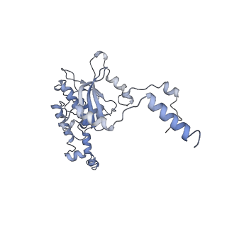3461_5mc6_BI_v1-3
Cryo-EM structure of a native ribosome-Ski2-Ski3-Ski8 complex from S. cerevisiae