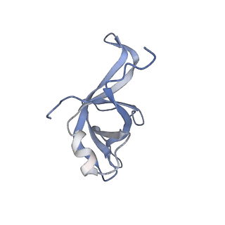 3461_5mc6_BK_v1-3
Cryo-EM structure of a native ribosome-Ski2-Ski3-Ski8 complex from S. cerevisiae