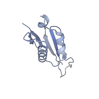 3461_5mc6_BL_v1-3
Cryo-EM structure of a native ribosome-Ski2-Ski3-Ski8 complex from S. cerevisiae