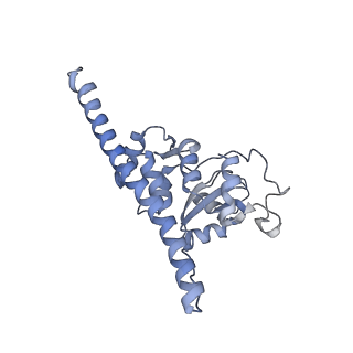 3461_5mc6_BO_v1-3
Cryo-EM structure of a native ribosome-Ski2-Ski3-Ski8 complex from S. cerevisiae