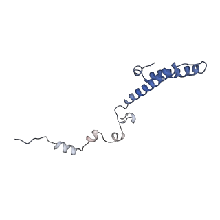 3461_5mc6_BP_v1-3
Cryo-EM structure of a native ribosome-Ski2-Ski3-Ski8 complex from S. cerevisiae