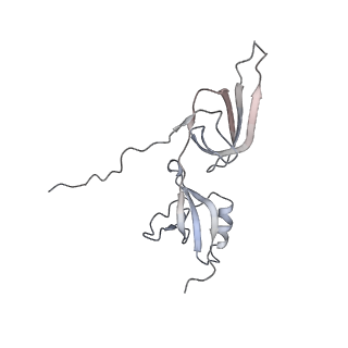 3461_5mc6_BT_v1-3
Cryo-EM structure of a native ribosome-Ski2-Ski3-Ski8 complex from S. cerevisiae