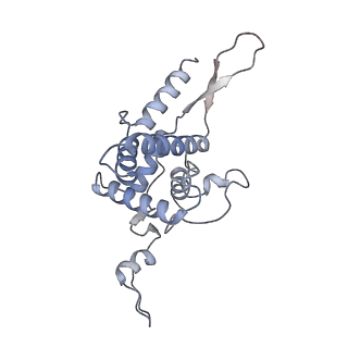 3461_5mc6_B_v1-3
Cryo-EM structure of a native ribosome-Ski2-Ski3-Ski8 complex from S. cerevisiae