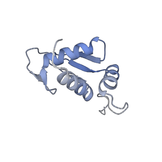 3461_5mc6_C_v1-3
Cryo-EM structure of a native ribosome-Ski2-Ski3-Ski8 complex from S. cerevisiae