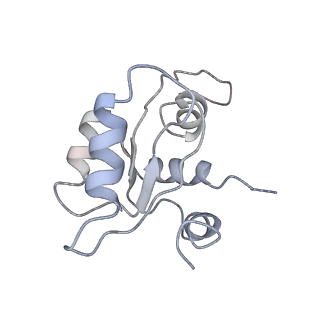 3461_5mc6_D_v1-3
Cryo-EM structure of a native ribosome-Ski2-Ski3-Ski8 complex from S. cerevisiae