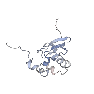 3461_5mc6_E_v1-3
Cryo-EM structure of a native ribosome-Ski2-Ski3-Ski8 complex from S. cerevisiae