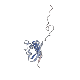 3461_5mc6_F_v1-3
Cryo-EM structure of a native ribosome-Ski2-Ski3-Ski8 complex from S. cerevisiae
