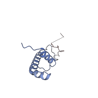 3461_5mc6_G_v1-3
Cryo-EM structure of a native ribosome-Ski2-Ski3-Ski8 complex from S. cerevisiae