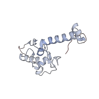 3461_5mc6_H_v1-3
Cryo-EM structure of a native ribosome-Ski2-Ski3-Ski8 complex from S. cerevisiae