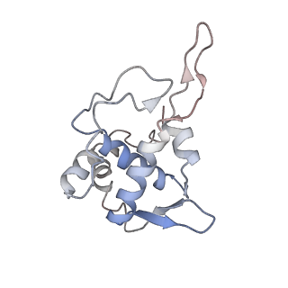 3461_5mc6_I_v1-3
Cryo-EM structure of a native ribosome-Ski2-Ski3-Ski8 complex from S. cerevisiae