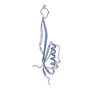3461_5mc6_J_v1-3
Cryo-EM structure of a native ribosome-Ski2-Ski3-Ski8 complex from S. cerevisiae