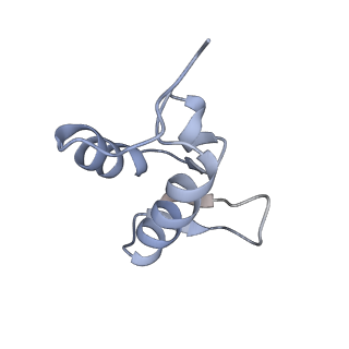 3461_5mc6_K_v1-3
Cryo-EM structure of a native ribosome-Ski2-Ski3-Ski8 complex from S. cerevisiae
