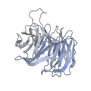 3461_5mc6_O_v1-3
Cryo-EM structure of a native ribosome-Ski2-Ski3-Ski8 complex from S. cerevisiae
