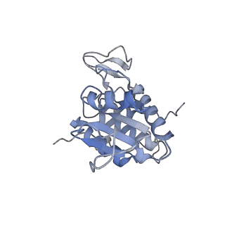 3461_5mc6_P_v1-3
Cryo-EM structure of a native ribosome-Ski2-Ski3-Ski8 complex from S. cerevisiae