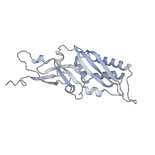 3461_5mc6_Q_v1-3
Cryo-EM structure of a native ribosome-Ski2-Ski3-Ski8 complex from S. cerevisiae
