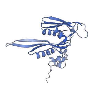3461_5mc6_R_v1-3
Cryo-EM structure of a native ribosome-Ski2-Ski3-Ski8 complex from S. cerevisiae
