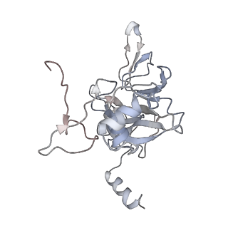 3461_5mc6_S_v1-3
Cryo-EM structure of a native ribosome-Ski2-Ski3-Ski8 complex from S. cerevisiae