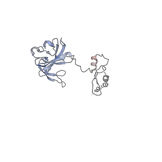 3461_5mc6_T_v1-3
Cryo-EM structure of a native ribosome-Ski2-Ski3-Ski8 complex from S. cerevisiae