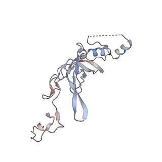 3461_5mc6_V_v1-3
Cryo-EM structure of a native ribosome-Ski2-Ski3-Ski8 complex from S. cerevisiae