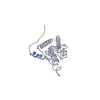 3461_5mc6_W_v1-3
Cryo-EM structure of a native ribosome-Ski2-Ski3-Ski8 complex from S. cerevisiae