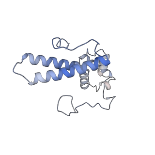 3461_5mc6_Y_v1-3
Cryo-EM structure of a native ribosome-Ski2-Ski3-Ski8 complex from S. cerevisiae