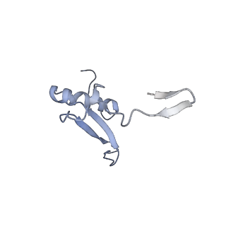 3461_5mc6_a_v1-3
Cryo-EM structure of a native ribosome-Ski2-Ski3-Ski8 complex from S. cerevisiae