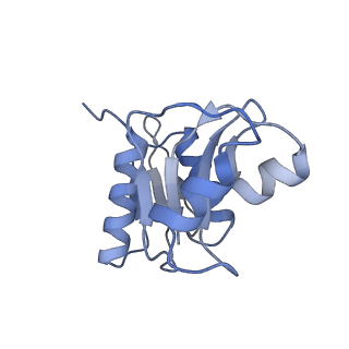 3461_5mc6_b_v1-3
Cryo-EM structure of a native ribosome-Ski2-Ski3-Ski8 complex from S. cerevisiae