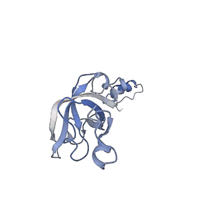 3461_5mc6_c_v1-3
Cryo-EM structure of a native ribosome-Ski2-Ski3-Ski8 complex from S. cerevisiae
