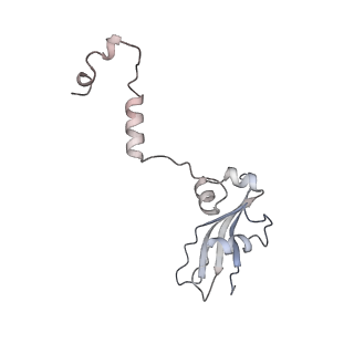 3461_5mc6_d_v1-3
Cryo-EM structure of a native ribosome-Ski2-Ski3-Ski8 complex from S. cerevisiae